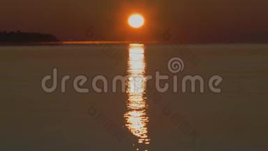 橘黄色的黎明，雾气笼罩海面上的海岸背景和树木..